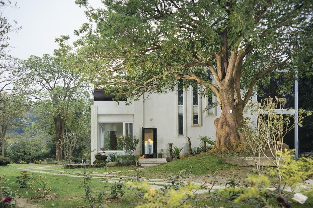 Around The Tree Manor Apartment Shitan Ngoại thất bức ảnh