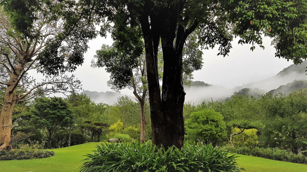 Around The Tree Manor Apartment Shitan Phòng bức ảnh
