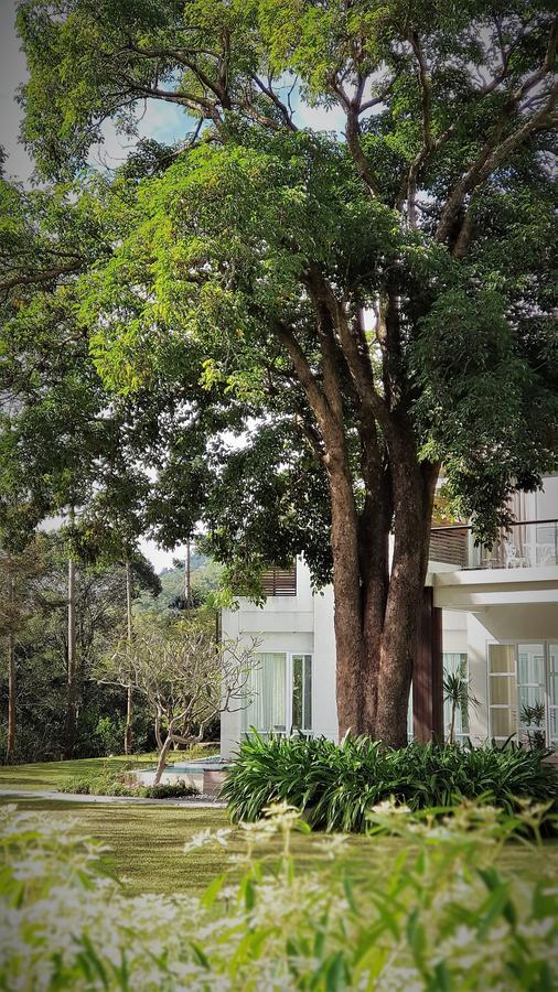 Around The Tree Manor Apartment Shitan Phòng bức ảnh
