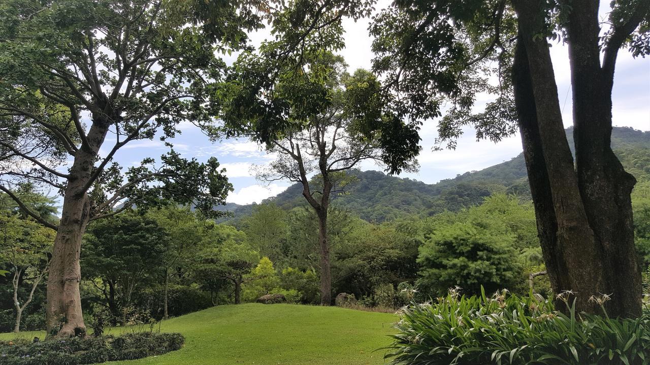 Around The Tree Manor Apartment Shitan Phòng bức ảnh
