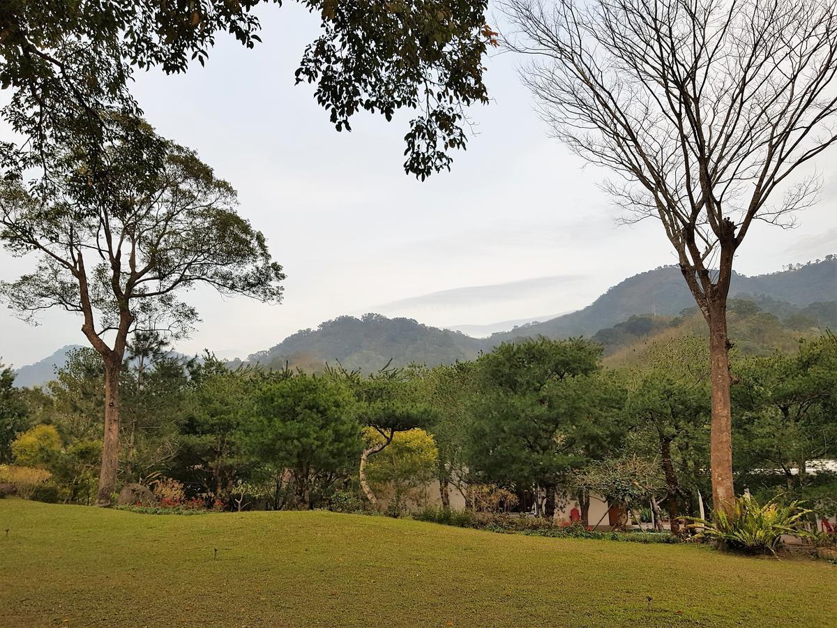 Around The Tree Manor Apartment Shitan Ngoại thất bức ảnh